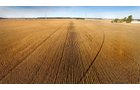 Property photo 5 - LAND AUCTION - 307.75+/- ACRES OFFERED IN 5 TRACTS IN PULASKI COUNTY, INDIANA